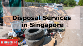 Disposal Services Singapore, Cheap Disposal Services, Waste Management Services, How much is disposal in Singapore?, How do I dispose of bulky items in Singapore?, How much does it cost to dispose of a couch Singapore?, How do I get rid of junk in Singapore?, Rubbish Disposal Service Singapore, Bulky Item Disposal, free disposal services singapore, disposal services singapore cost, cheapest disposal services singapore, furniture disposal services singapore, bulky waste disposal singapore, free disposal of bulky items singapore, disposal services prices,