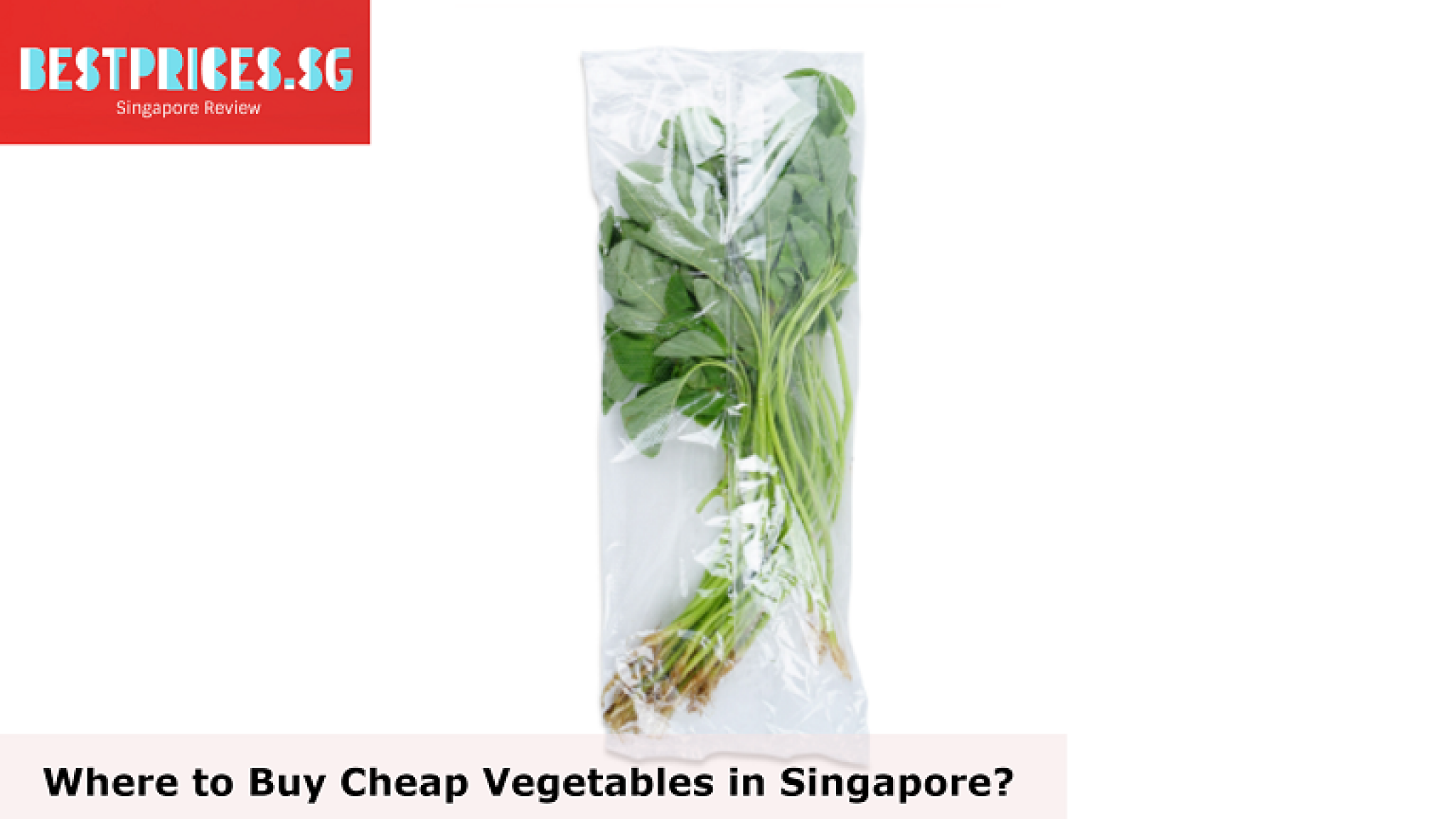 Where to Buy Cheap Vegetables in Singapore 2024 Fresh & Affordable