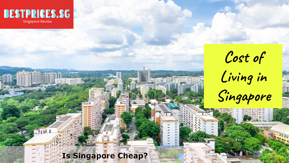 Cost of Living in Singapore - Is Singapore Cheap?, Is Singapore Cheap, Is stuff cheaper in Singapore?, Is Singapore expensive as a tourist?, Is Singapore a cheap country to visit?, Are Things in Singapore cheap?, How much is a meal in Singapore?, Is Singapore expensive to visit?, What things are expensive in Singapore?, Singapore Travel Cost, What brands are cheaper in Singapore?, Is Singapore Expensive?,singapore travel cost per day,how much money should i take to singapore for a week,singapore price list,singapore trip cost for couple,is singapore safe to visit,how much would it cost for a 5 day trip to singapore,is it expensive to eat in singapore,singapore budget travel,