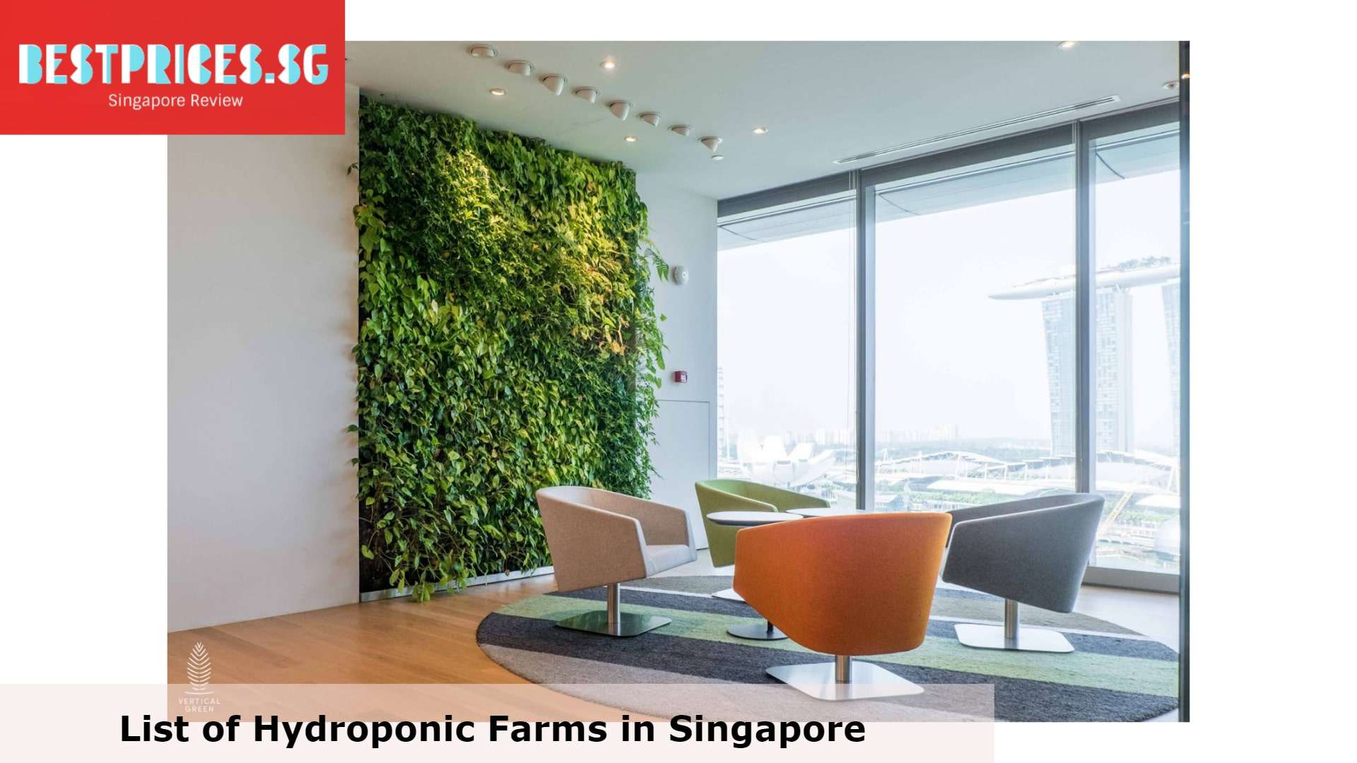 Vertical Green Pte. Ltd. - Hydroponic Farm Singapore, Hydroponics Singapore hdb, Hydroponics system Singapore, Hydroponics Singapore farm, Hydroponics Singapore home, Hydroponics Equipment Suppliers Singapore, What can you grow in hydroponics Singapore?, How much does it cost for a hydroponic setup?, Is a hydroponic system worth it?, Hydroponics Kits, Hydroponics Indoors, Vertical Hydroponic System, best indoor garden Singapore, Which indoor plants are suitable for hydroponics?, 
