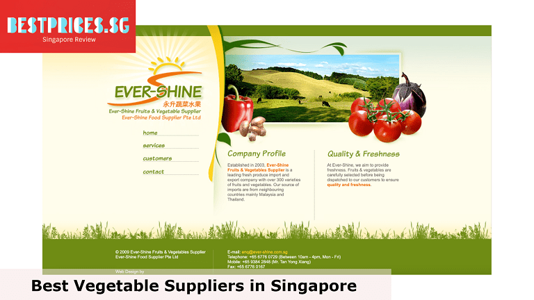 Ever-Shine Fruits and Vegetables Supplier - Vegetable Supplier Singapore, 