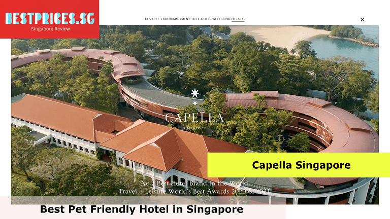 Capella Singapore - Pet Friendly Hotel Singapore, Pet Friendly Hotel Singapore, Which hotel in Sentosa is pet friendly?, Are dogs allowed as pets in Singapore?, Is W hotel Singapore pet friendly?, Can I leave my dog in a hotel room?, pet-friendly hotel singapore sentosa, pet-friendly hotel singapore staycation, cat friendly hotel singapore, pet-friendly hotel singapore wedding, pawcation singapore, pet-friendly staycation, pet-friendly chalet singapore, How pet friendly is Singapore?, pet staycation singapore, 