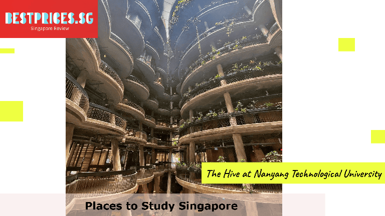 Places to Study Singapore, Top study spaces for kids, Places to Study in Singapore West, Places to Study on public holiday, Places to Study in Singapore with power plug, cafes to study in Singapore, Where can I study in Singapore weekend?, What is the best place to sit and study?, Free Study Spots in Singapore, Private Study Rooms Singapore, Places to study singapore for students, best place to study singapore, Free places to study singapore, places to study in singapore near me, community centre study room, Quiet Places to Study Singapore, 