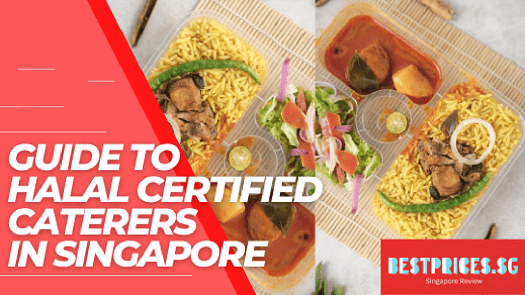Halal Certified Caterers Singapore, Singapore Halal Caterers, Halal Catering & Food Delivery In Singapore, Halal Food Buffet Caterer in Singapore, Best Halal Catering Singapore, Halal Mini Buffet Catering, halal catering for small parties, halal catering for 50 pax, halal food catering for 20 pax, halal catering for 100 pax, halal food catering for 10 pax, halal catering for small parties singapore, halal buffet catering singapore, halal catering buffet,