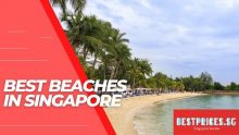 Top Beaches in Singapore 2023 for Locals and Tourists