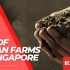 Cheapest Rolex Singapore Price 2022