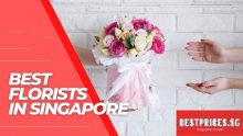 Top Florists in Singapore with Cheap Flowers Delivery 2022