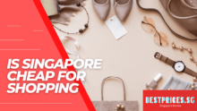 Is Singapore Cheap for Shopping 2023