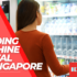 Cheap Meat Supplier Singapore 2023 for Frozen Beef, Pork, Chicken & Seafood